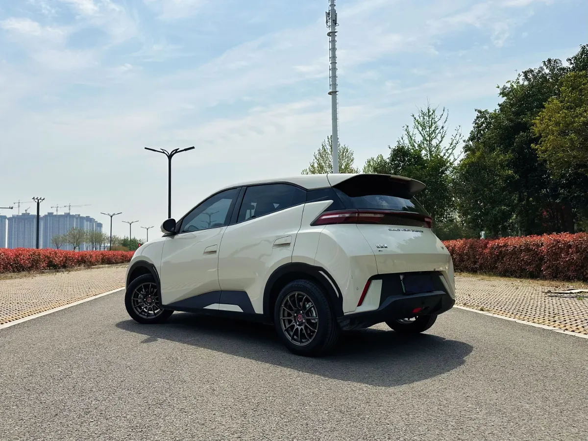 2023 BYD Seagull BEV 30.08KWH,autocango,china used car exporter,china ev exporter,chinese used car exporter,chinese used ev exporter