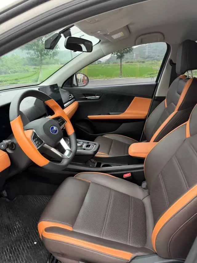 2019 BYD e2 BEV 35.2KWH,autocango,china used car exporter,china ev exporter,chinese used car exporter,chinese used ev exporter