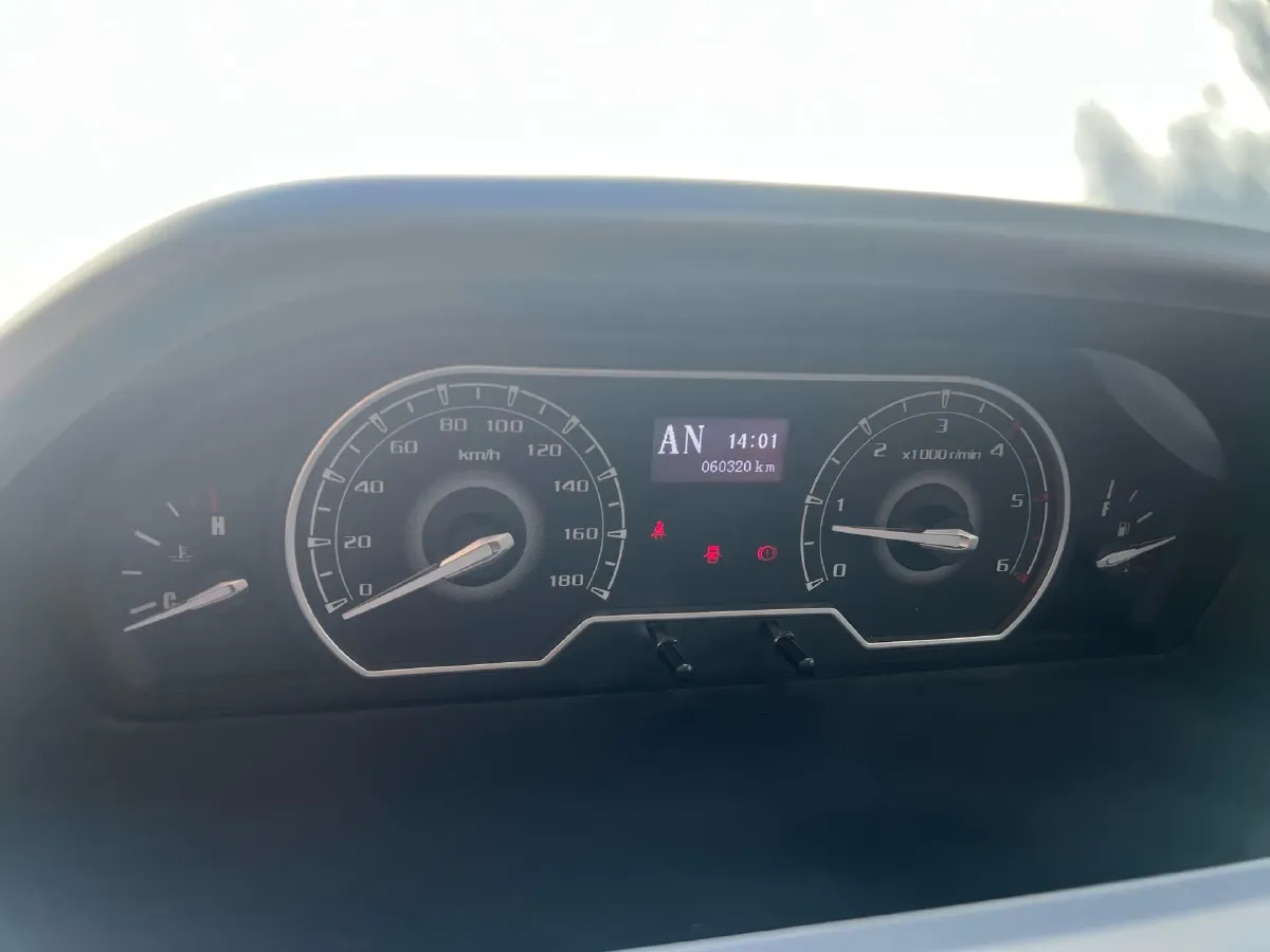 2021 DaYun Pickup 2.0T 163HP L4 6MT,autocango,china used car exporter,china ev exporter,chinese used car exporter,chinese used ev exporter