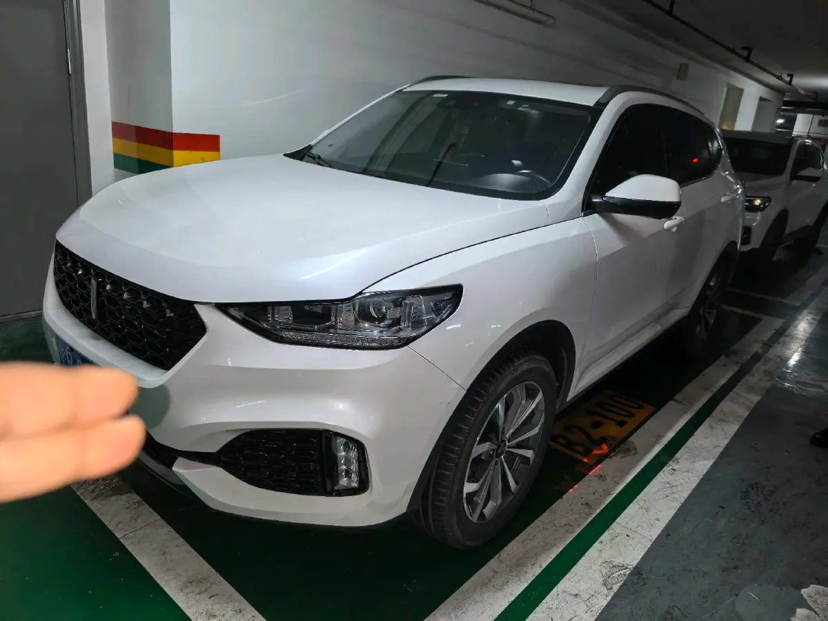 2018 WEY VV6 2.0T 197HP L4 7DCT,autocango,china used car exporter,china ev exporter,chinese used car exporter,chinese used ev exporter