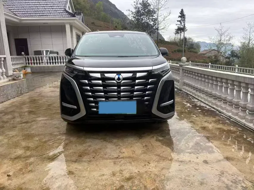 2024 Denza D9 1.5T 139HP L4 E-CVT PHEV 40KWH,autocango,china used car exporter,china ev exporter,chinese used car exporter,chinese used ev exporter