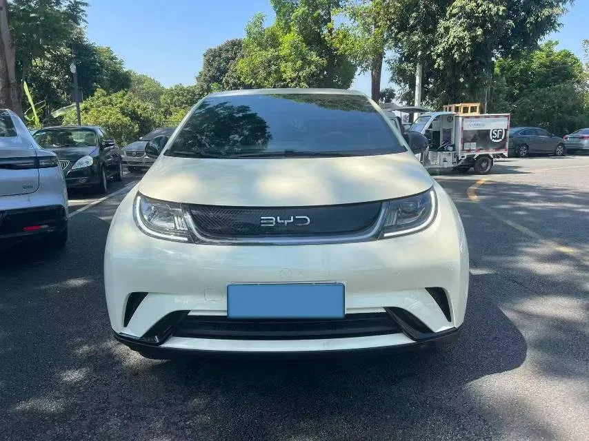 2025 BYD Dolphin BEV 44.928KWH,autocango,china used car exporter,china ev exporter,chinese used car exporter,chinese used ev exporter