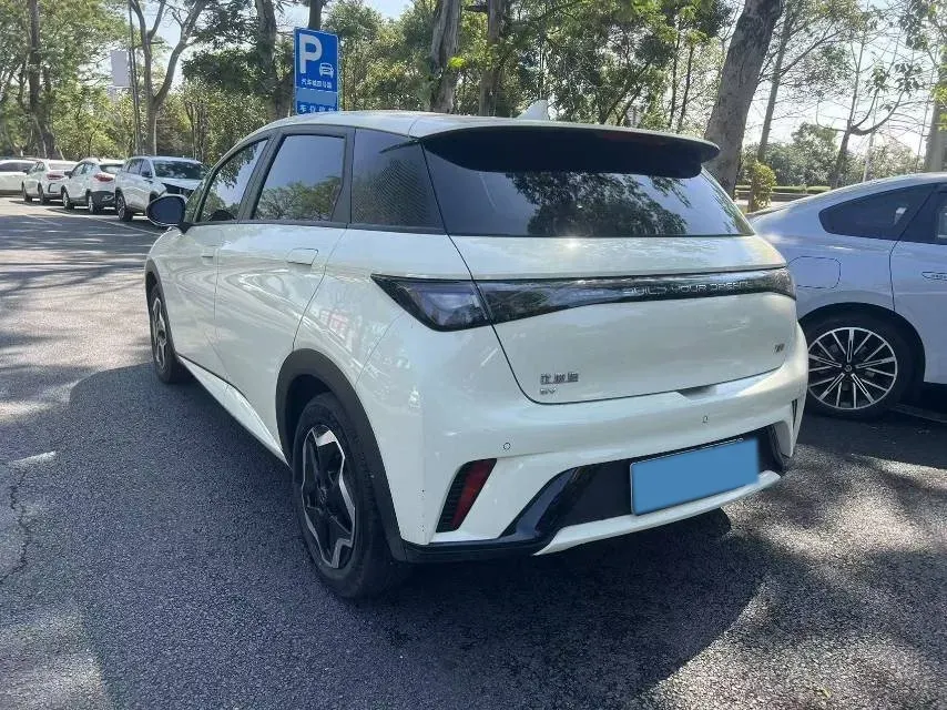2025 BYD Dolphin BEV 44.928KWH,autocango,china used car exporter,china ev exporter,chinese used car exporter,chinese used ev exporter