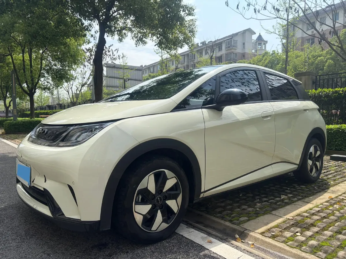 2024 BYD Dolphin BEV 44.928KWH,autocango,china used car exporter,china ev exporter,chinese used car exporter,chinese used ev exporter