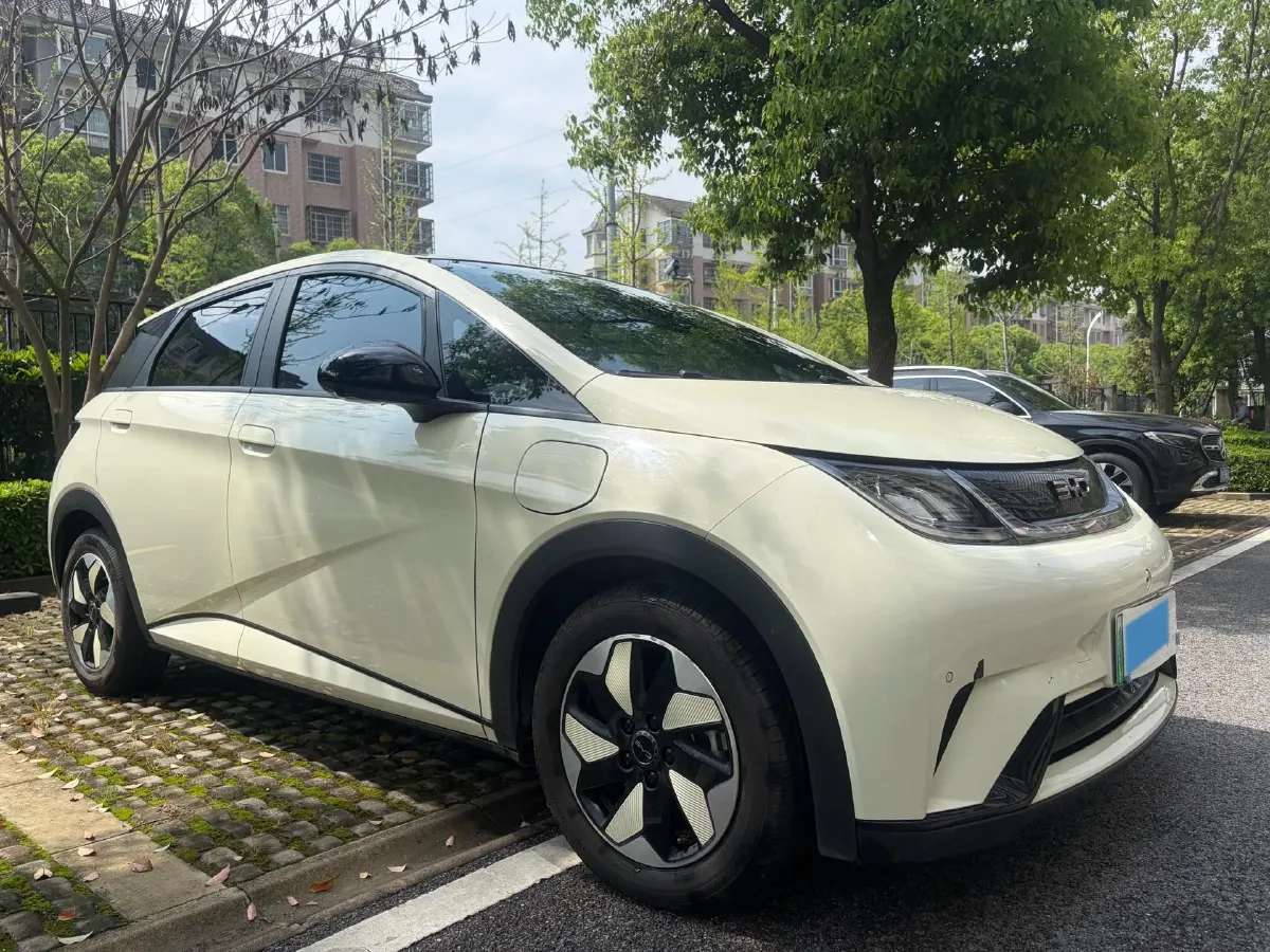 2024 BYD Dolphin BEV 44.928KWH,autocango,china used car exporter,china ev exporter,chinese used car exporter,chinese used ev exporter