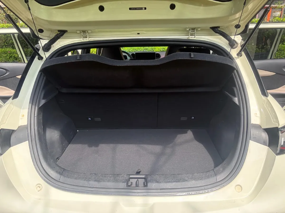 2024 BYD Dolphin BEV 44.928KWH,autocango,china used car exporter,china ev exporter,chinese used car exporter,chinese used ev exporter