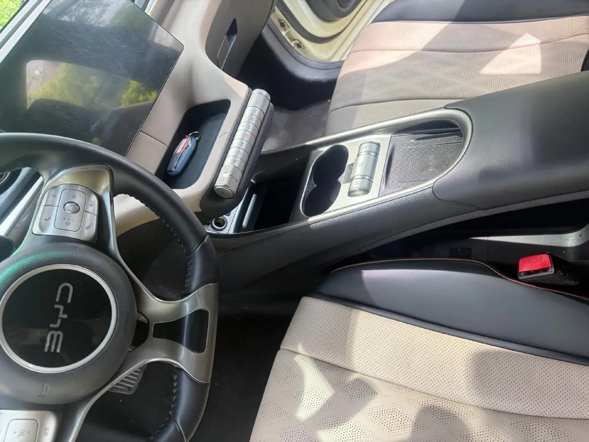 2024 BYD Dolphin BEV 44.928KWH,autocango,china used car exporter,china ev exporter,chinese used car exporter,chinese used ev exporter