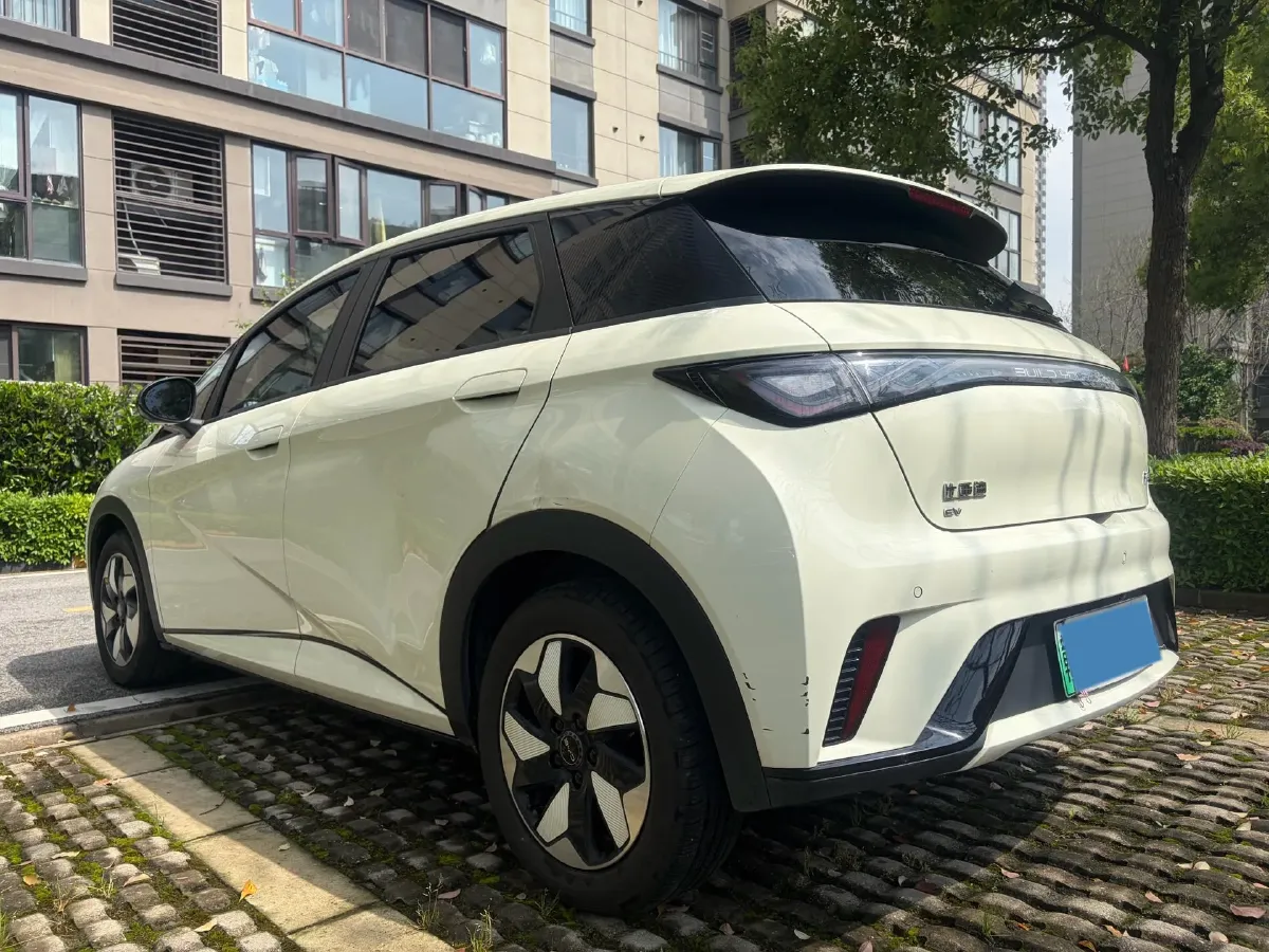 2024 BYD Dolphin BEV 44.928KWH,autocango,china used car exporter,china ev exporter,chinese used car exporter,chinese used ev exporter