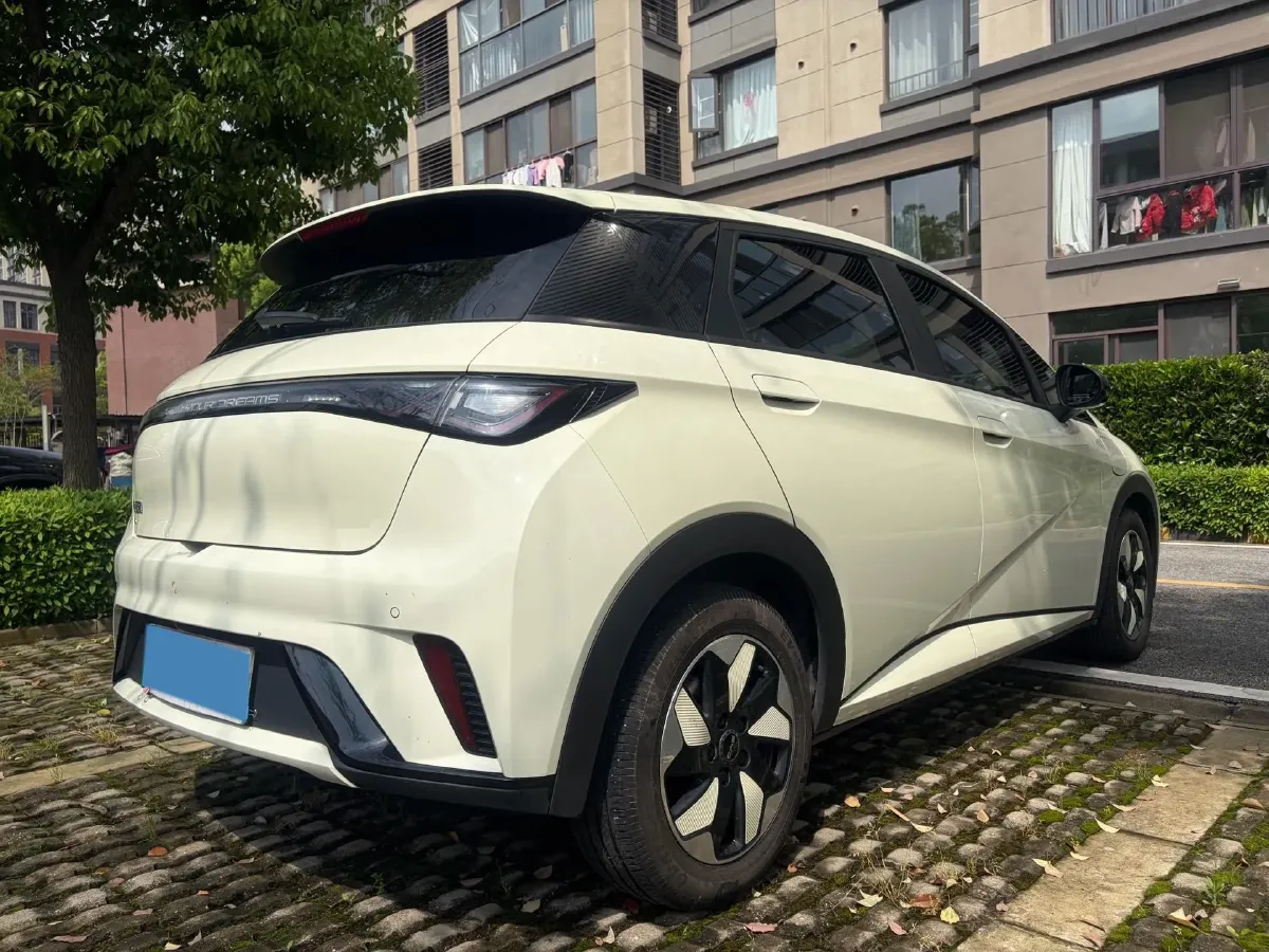 2024 BYD Dolphin BEV 44.928KWH,autocango,china used car exporter,china ev exporter,chinese used car exporter,chinese used ev exporter