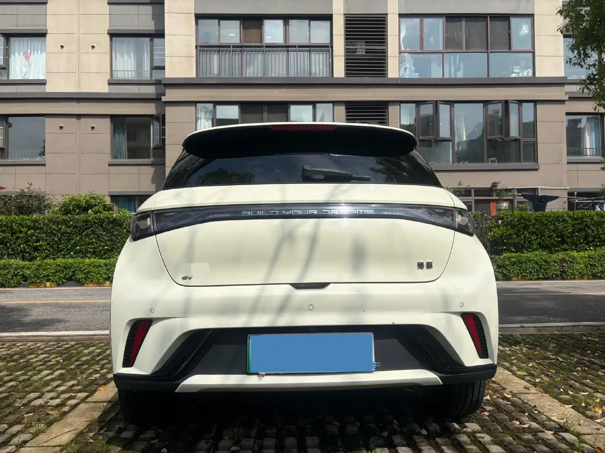 2024 BYD Dolphin BEV 44.928KWH,autocango,china used car exporter,china ev exporter,chinese used car exporter,chinese used ev exporter