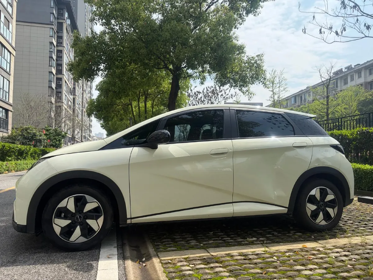 2024 BYD Dolphin BEV 44.928KWH,autocango,china used car exporter,china ev exporter,chinese used car exporter,chinese used ev exporter