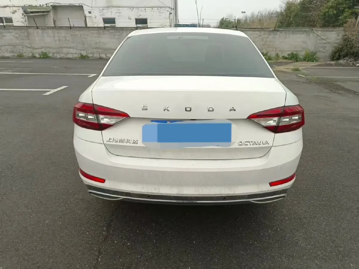 2019 Skoda Octavia 1.2T 116HP L4 7DCT,autocango,china used car exporter,china ev exporter,chinese used car exporter,chinese used ev exporter