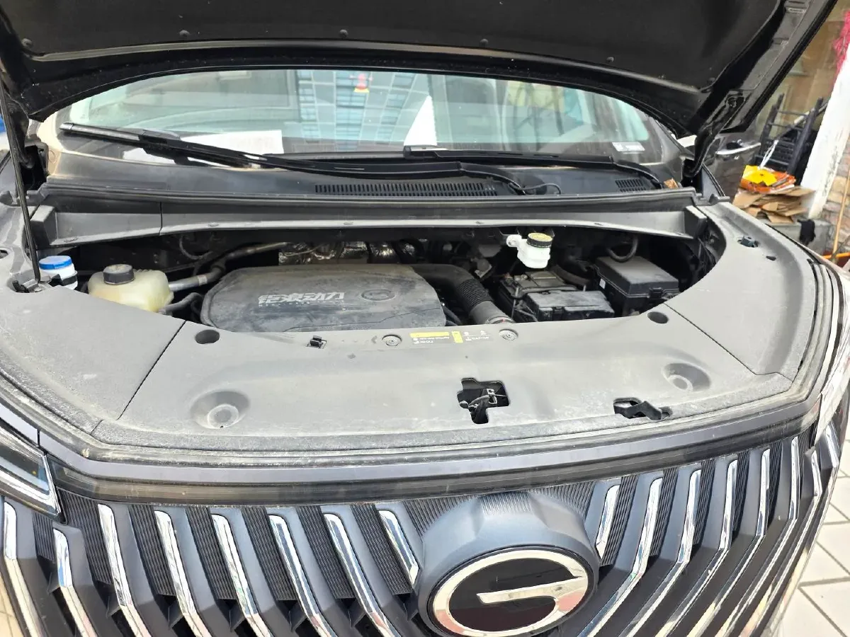 2024 GAC Trumpchi M8 2.0T 252HP L4 8AT,autocango,china used car exporter,china ev exporter,chinese used car exporter,chinese used ev exporter