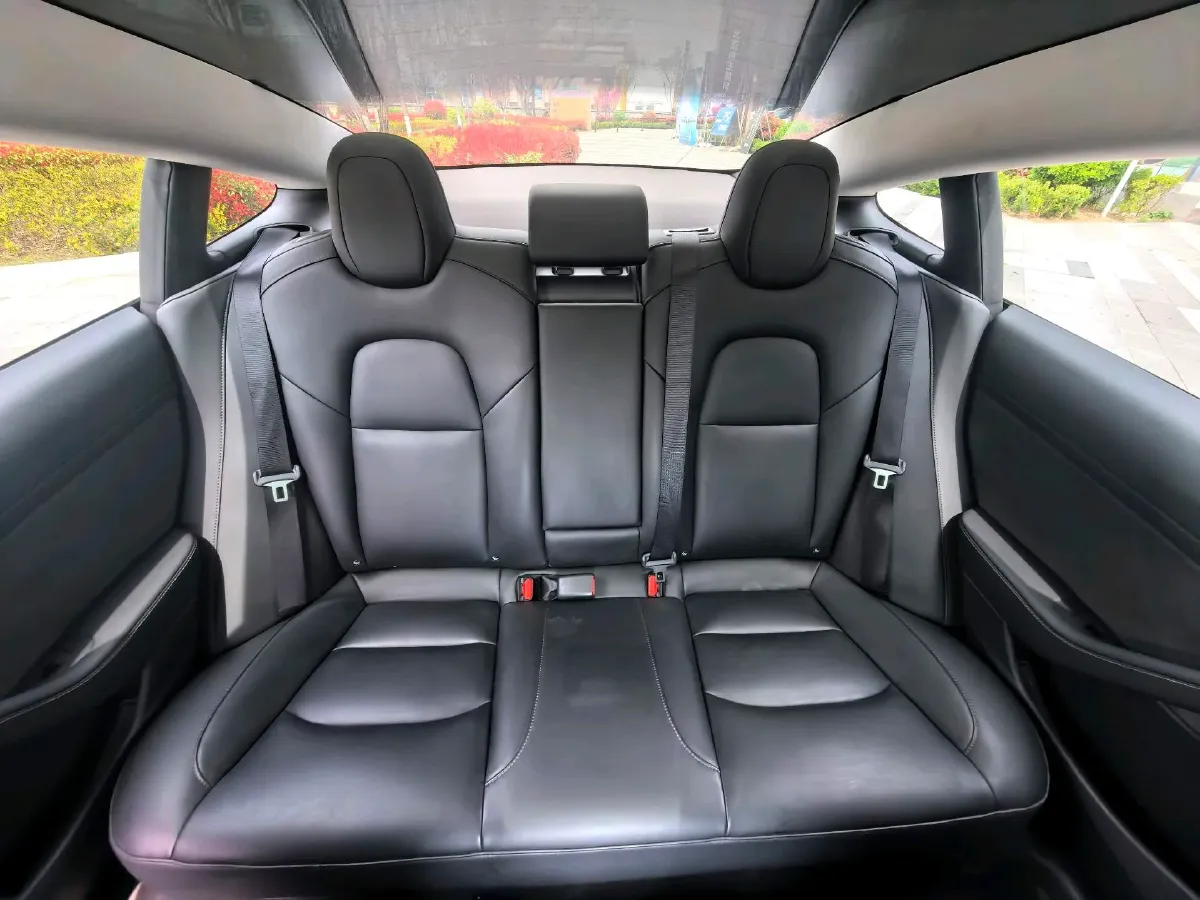 2020 Tesla Model 3 BEV 55KWH,autocango,china used car exporter,china ev exporter,chinese used car exporter,chinese used ev exporter