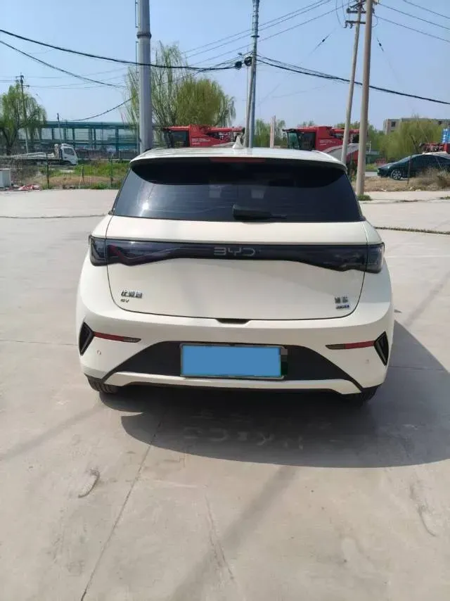 2025 BYD Dolphin BEV 45.12KWH,autocango,china used car exporter,china ev exporter,chinese used car exporter,chinese used ev exporter