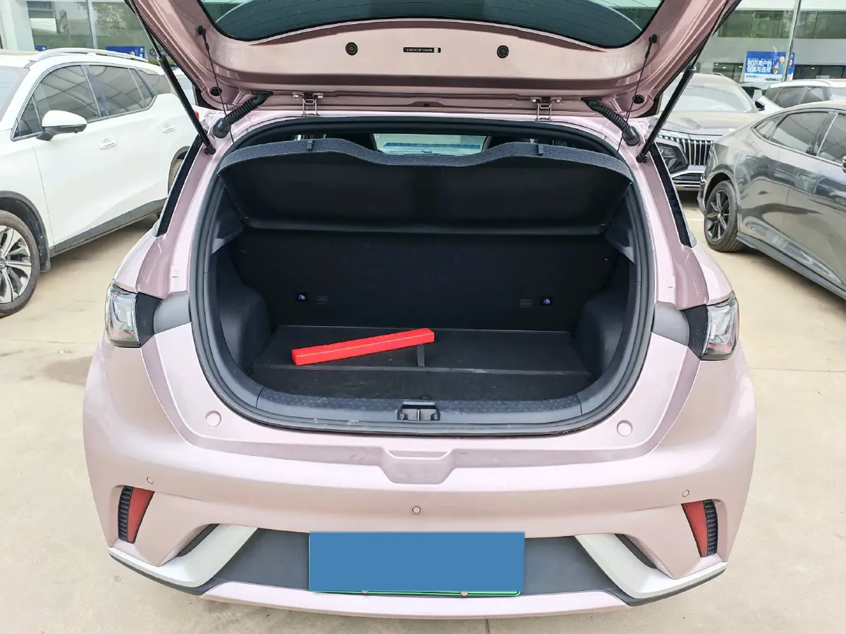 2023 BYD Dolphin BEV 44.928KWH,autocango,china used car exporter,china ev exporter,chinese used car exporter,chinese used ev exporter