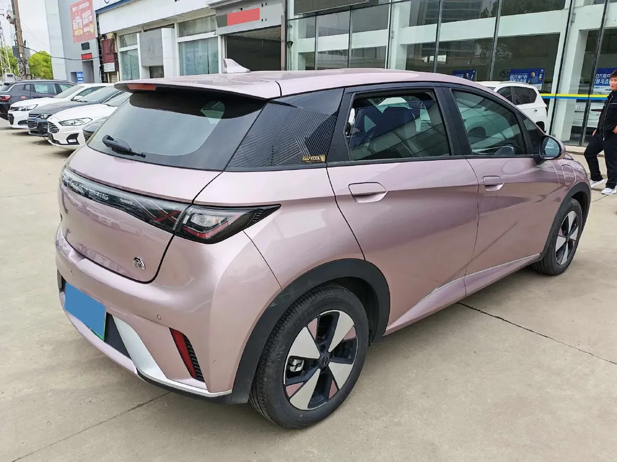 2023 BYD Dolphin BEV 44.928KWH,autocango,china used car exporter,china ev exporter,chinese used car exporter,chinese used ev exporter