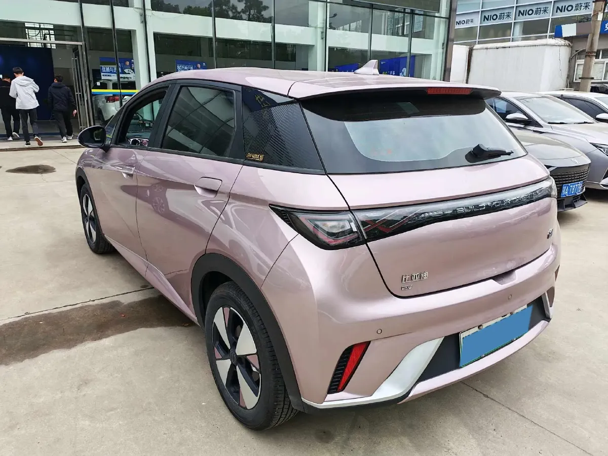 2023 BYD Dolphin BEV 44.928KWH,autocango,china used car exporter,china ev exporter,chinese used car exporter,chinese used ev exporter