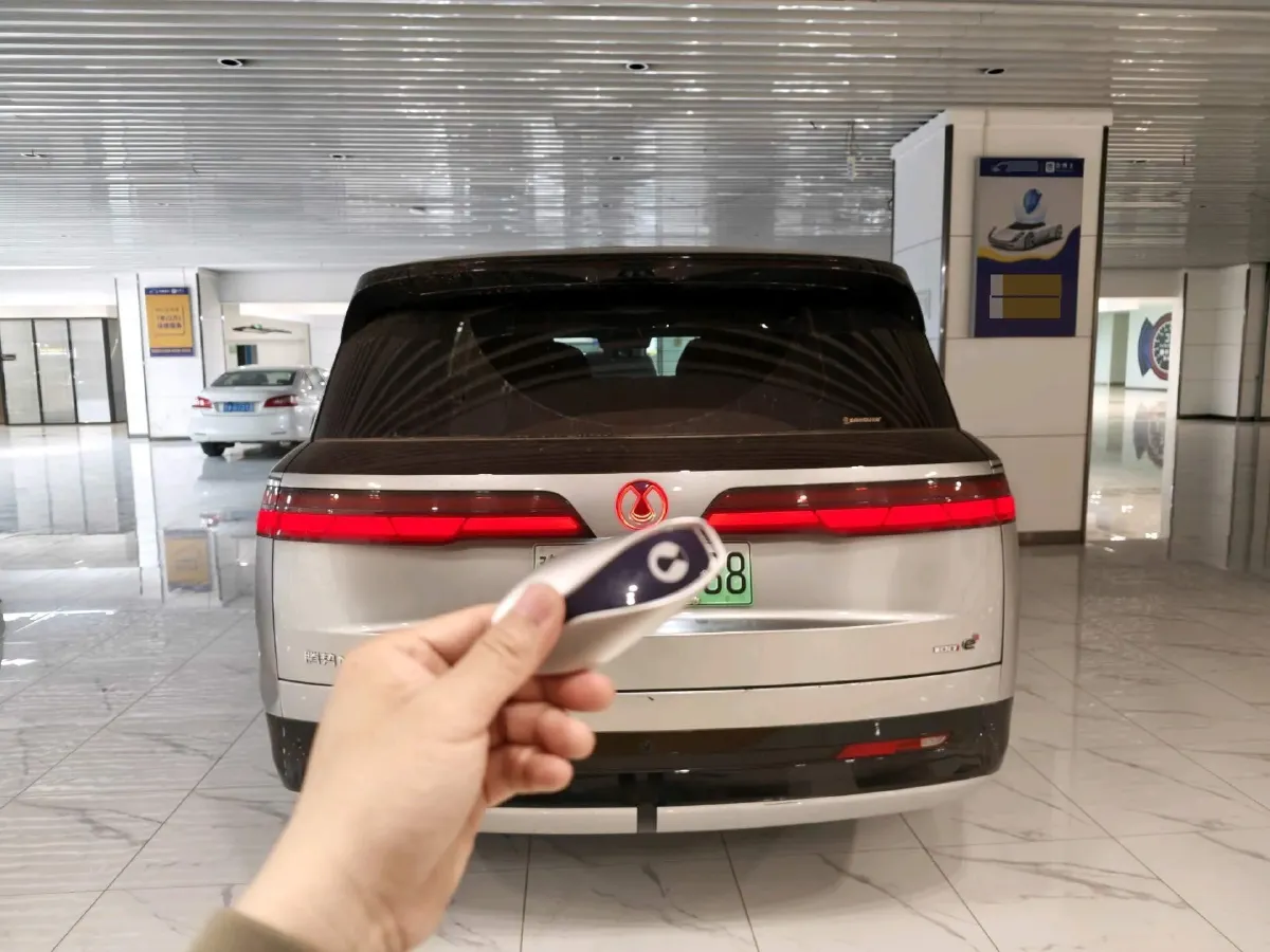 2025 Denza DenzaN9 2.0T 207HP L4 E-CVT PHEV,autocango,china used car exporter,china ev exporter,chinese used car exporter,chinese used ev exporter