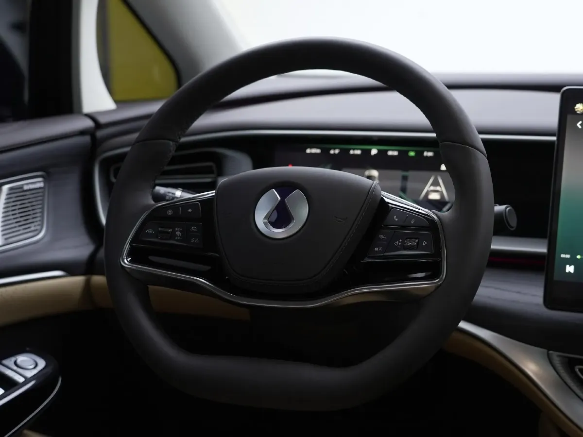 2024 Denza D9 1.5T 139HP L4 E-CVT PHEV 40KWH,autocango,china used car exporter,china ev exporter,chinese used car exporter,chinese used ev exporter