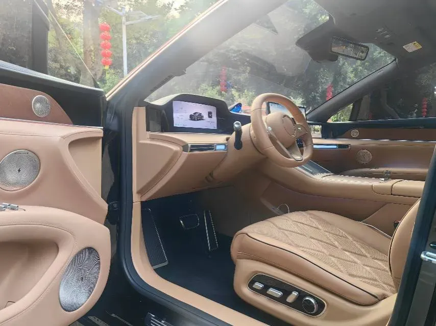 2024 HIMA Stelato S9 BEV 100KWH,autocango,china used car exporter,china ev exporter,chinese used car exporter,chinese used ev exporter