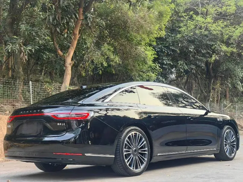 2024 HIMA Stelato S9 BEV 100KWH,autocango,china used car exporter,china ev exporter,chinese used car exporter,chinese used ev exporter