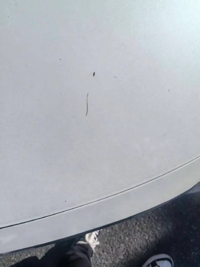 2017 MG MG6 1.5T 169HP L4 7DCT,autocango,china used car exporter,china ev exporter,chinese used car exporter,chinese used ev exporter