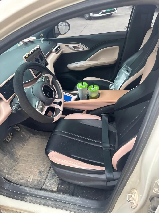 2025 BYD Seagull BEV 30.08KWH,autocango,china used car exporter,china ev exporter,chinese used car exporter,chinese used ev exporter