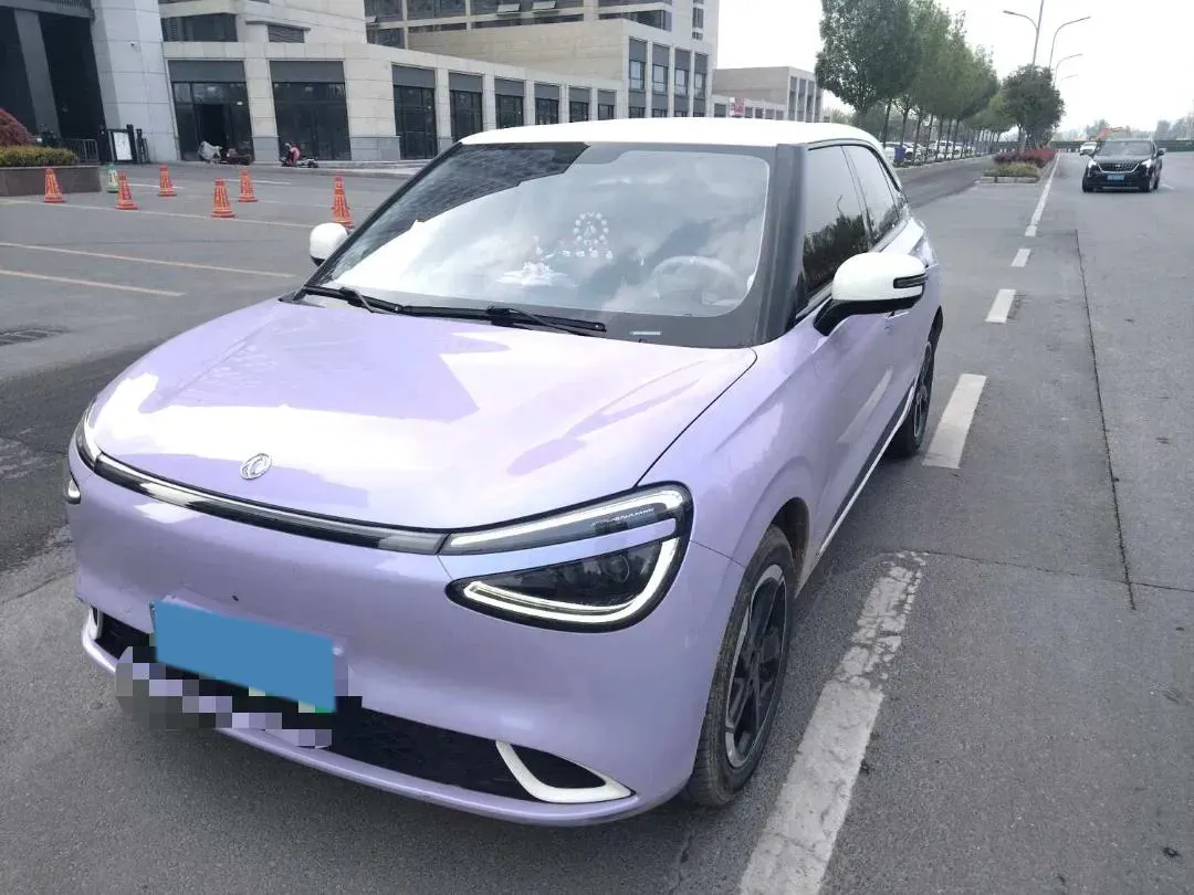 2024 DongFeng Nammi 01 BEV 42.3KWH,autocango,china used car exporter,china ev exporter,chinese used car exporter,chinese used ev exporter