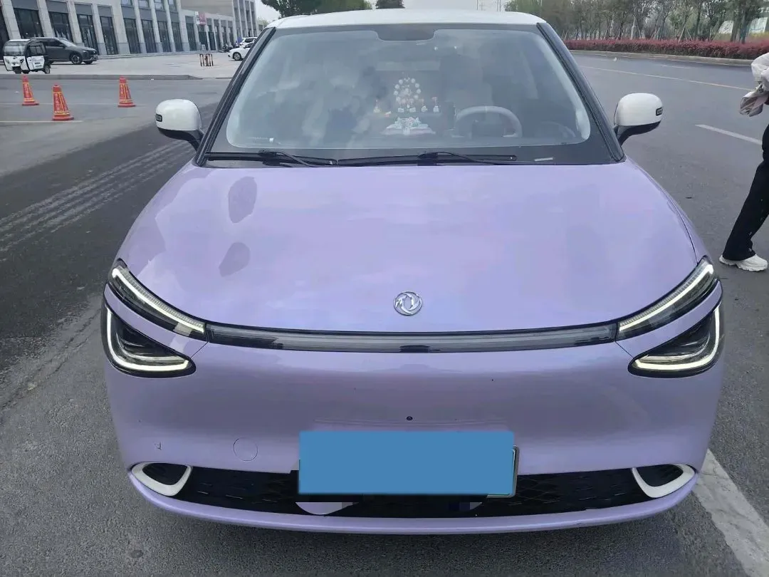 2024 DongFeng Nammi 01 BEV 42.3KWH,autocango,china used car exporter,china ev exporter,chinese used car exporter,chinese used ev exporter