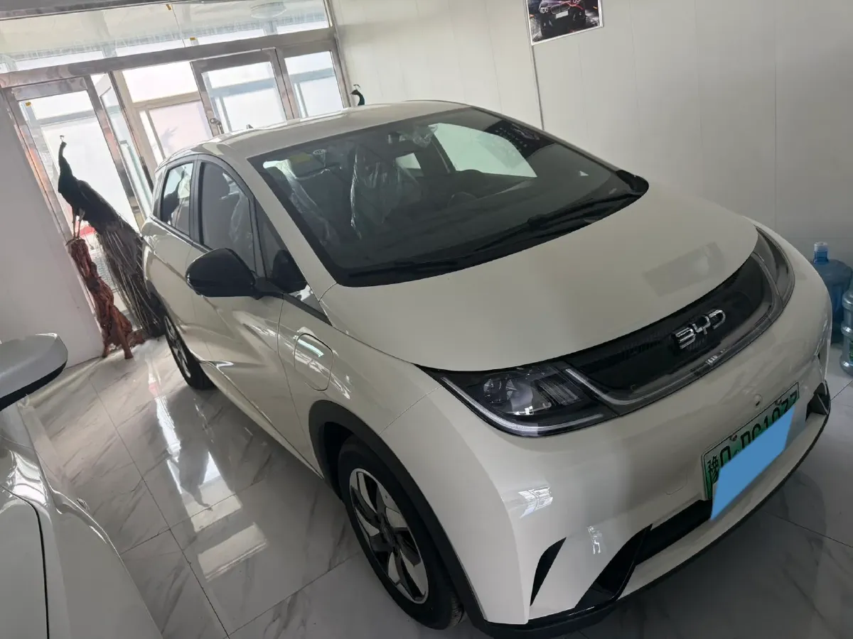 2025 BYD Dolphin BEV 44.928KWH,autocango,china used car exporter,china ev exporter,chinese used car exporter,chinese used ev exporter