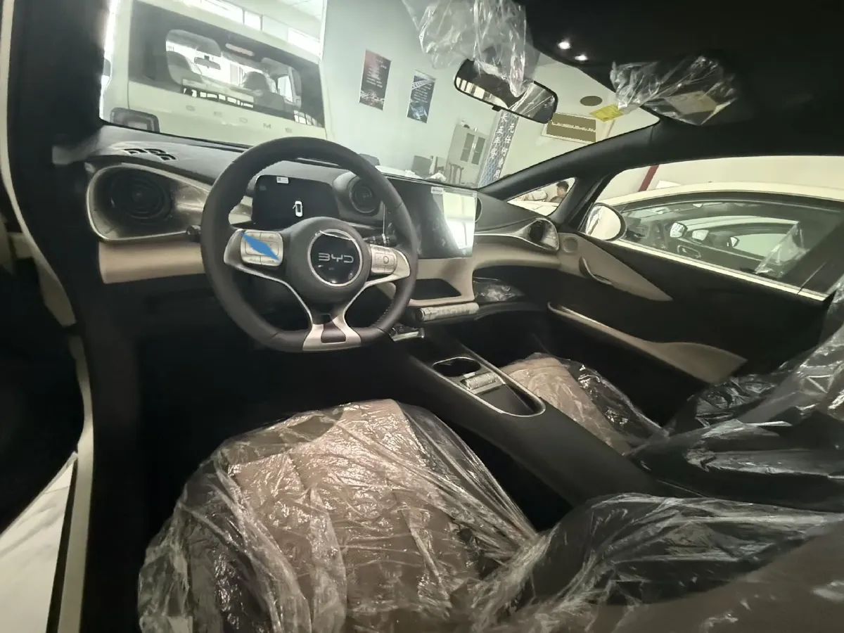 2025 BYD Dolphin BEV 44.928KWH,autocango,china used car exporter,china ev exporter,chinese used car exporter,chinese used ev exporter