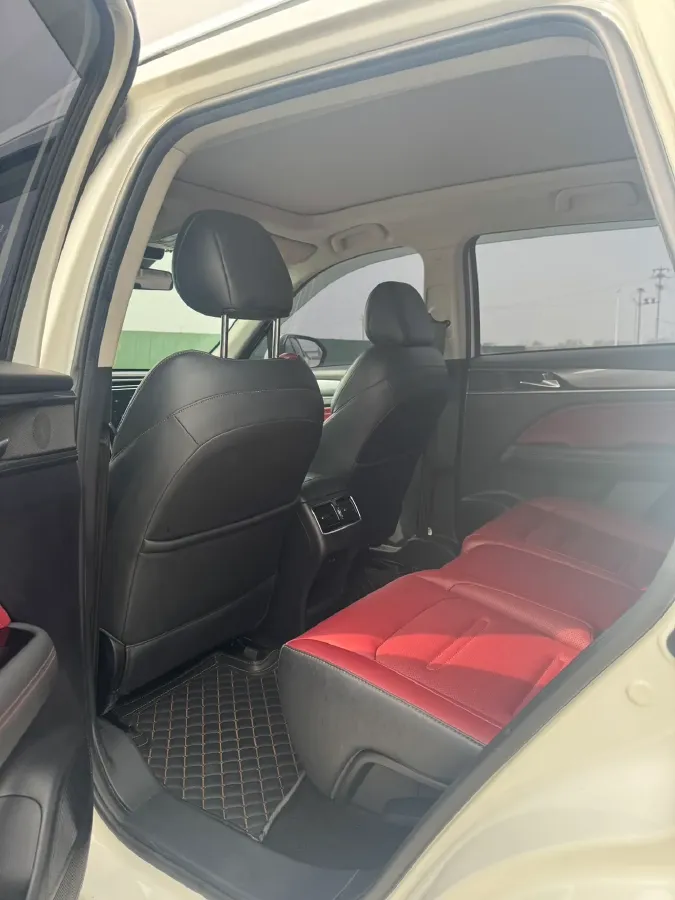 2021 GAC Trumpchi GS4 Plus 2.0T 252HP L4 6AT,autocango,china used car exporter,china ev exporter,chinese used car exporter,chinese used ev exporter