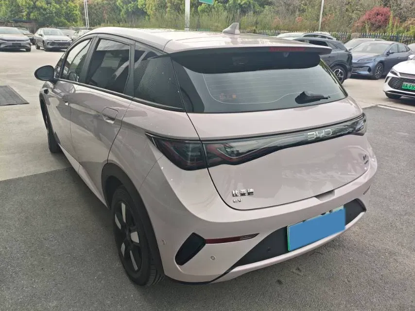 2025 BYD Dolphin BEV 45.12KWH,autocango,china used car exporter,china ev exporter,chinese used car exporter,chinese used ev exporter