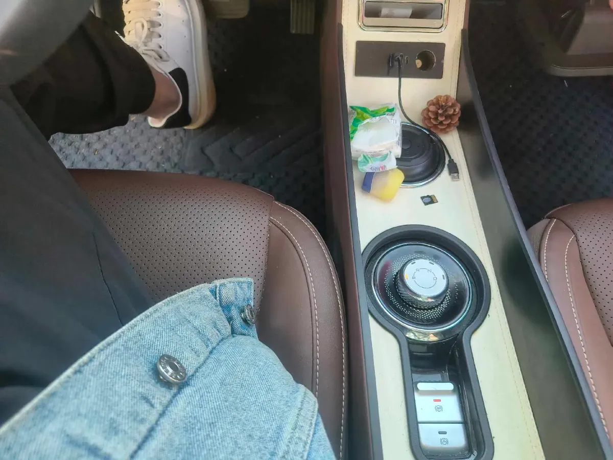 2024 WuLing BinGuo BEV 31.9KWH,autocango,china used car exporter,china ev exporter,chinese used car exporter,chinese used ev exporter