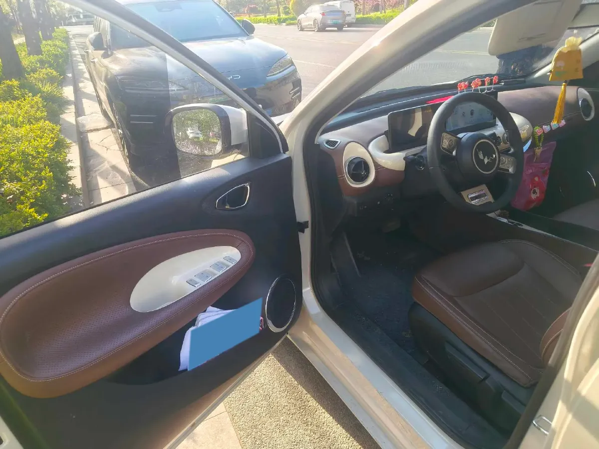 2024 WuLing BinGuo BEV 31.9KWH,autocango,china used car exporter,china ev exporter,chinese used car exporter,chinese used ev exporter