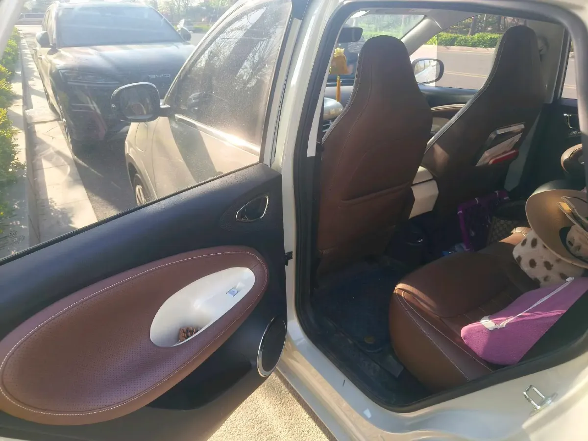 2024 WuLing BinGuo BEV 31.9KWH,autocango,china used car exporter,china ev exporter,chinese used car exporter,chinese used ev exporter