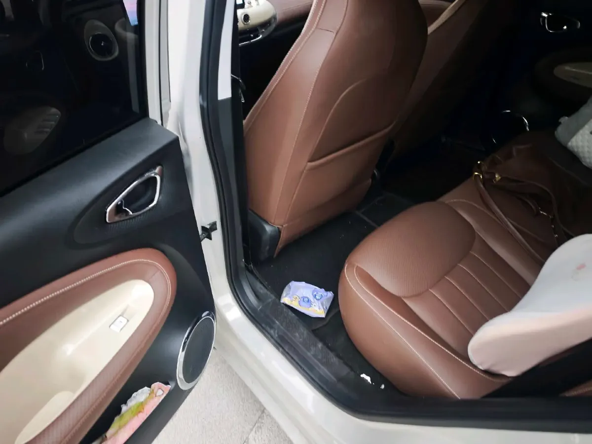 2024 WuLing BinGuo BEV 31.9KWH,autocango,china used car exporter,china ev exporter,chinese used car exporter,chinese used ev exporter