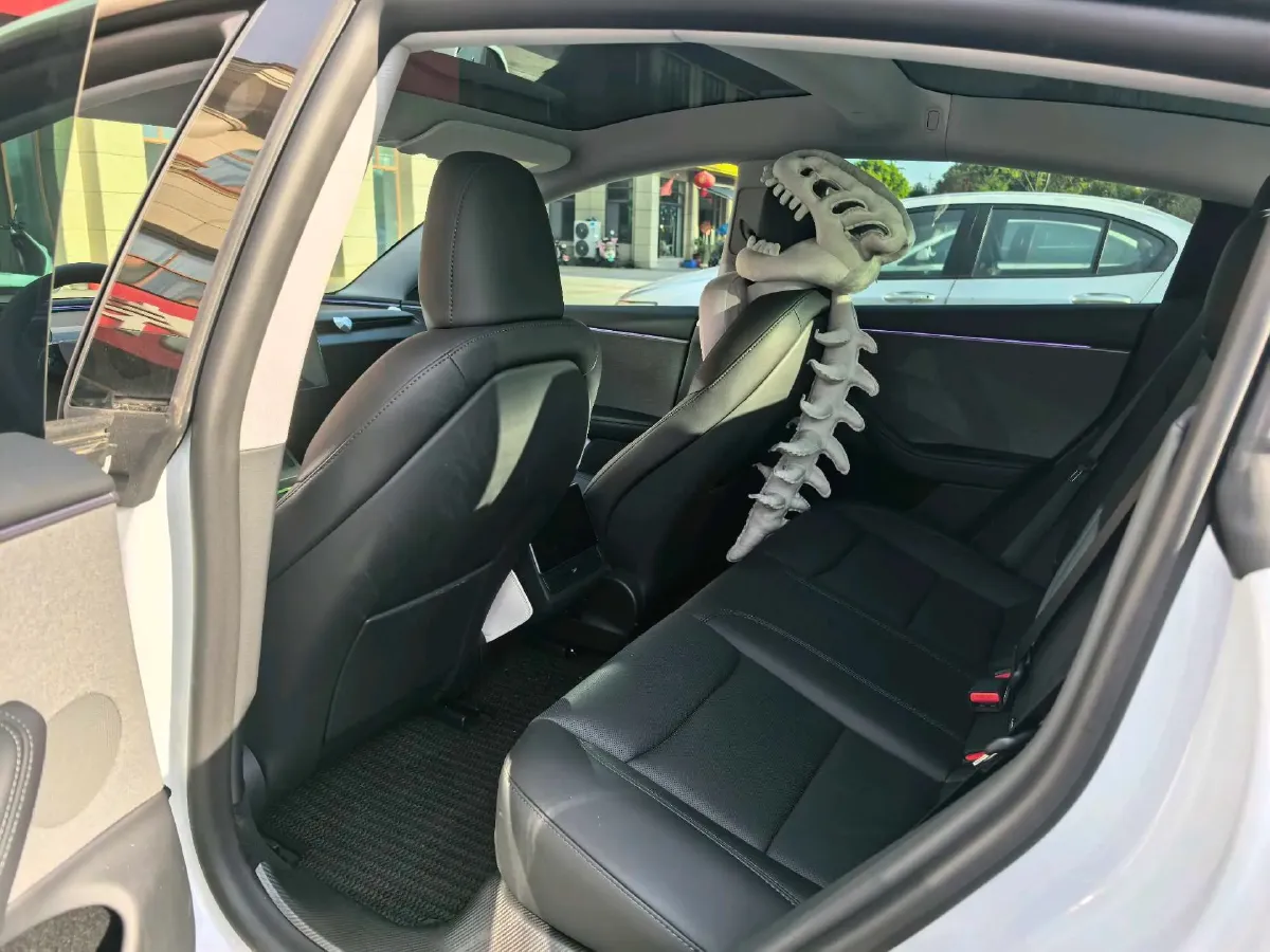 2025 Tesla Model 3 BEV,autocango,china used car exporter,china ev exporter,chinese used car exporter,chinese used ev exporter