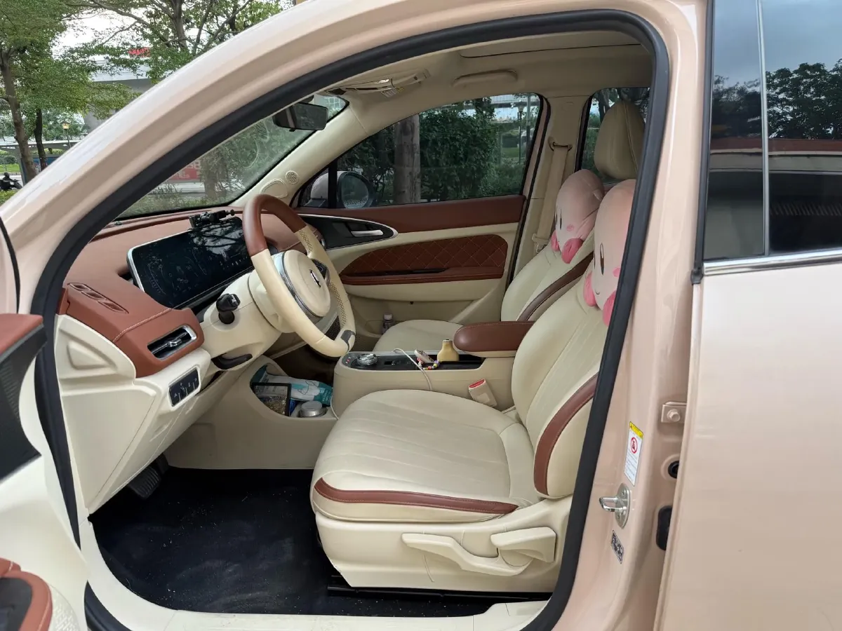 2021 Ora FunkyCat BEV 45.99KWH,autocango,china used car exporter,china ev exporter,chinese used car exporter,chinese used ev exporter