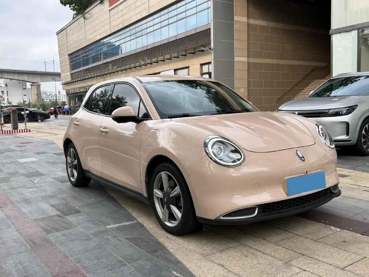 2021 Ora FunkyCat BEV 45.99KWH,autocango,china used car exporter,china ev exporter,chinese used car exporter,chinese used ev exporter