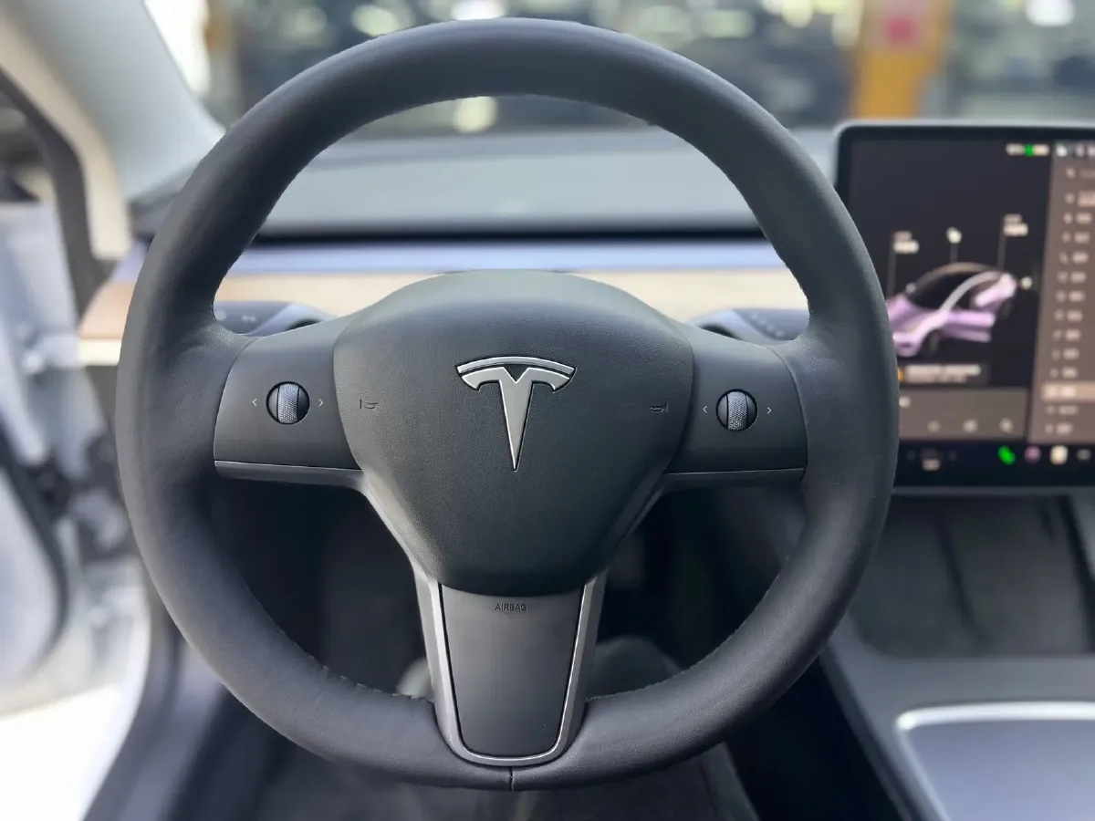 2021 Tesla Model 3 BEV 55KWH,autocango,china used car exporter,china ev exporter,chinese used car exporter,chinese used ev exporter