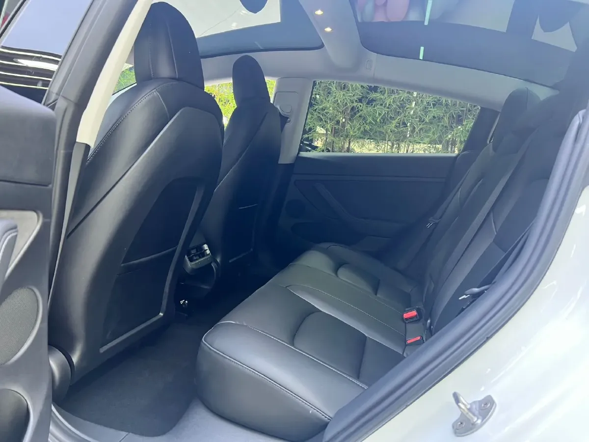 2021 Tesla Model 3 BEV 55KWH,autocango,china used car exporter,china ev exporter,chinese used car exporter,chinese used ev exporter