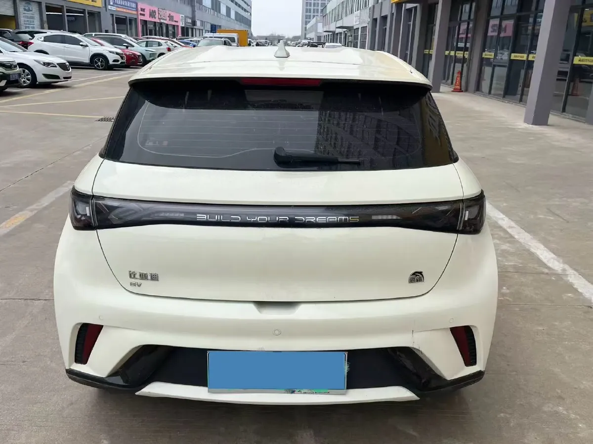 2023 BYD Dolphin BEV 44.928KWH,autocango,china used car exporter,china ev exporter,chinese used car exporter,chinese used ev exporter