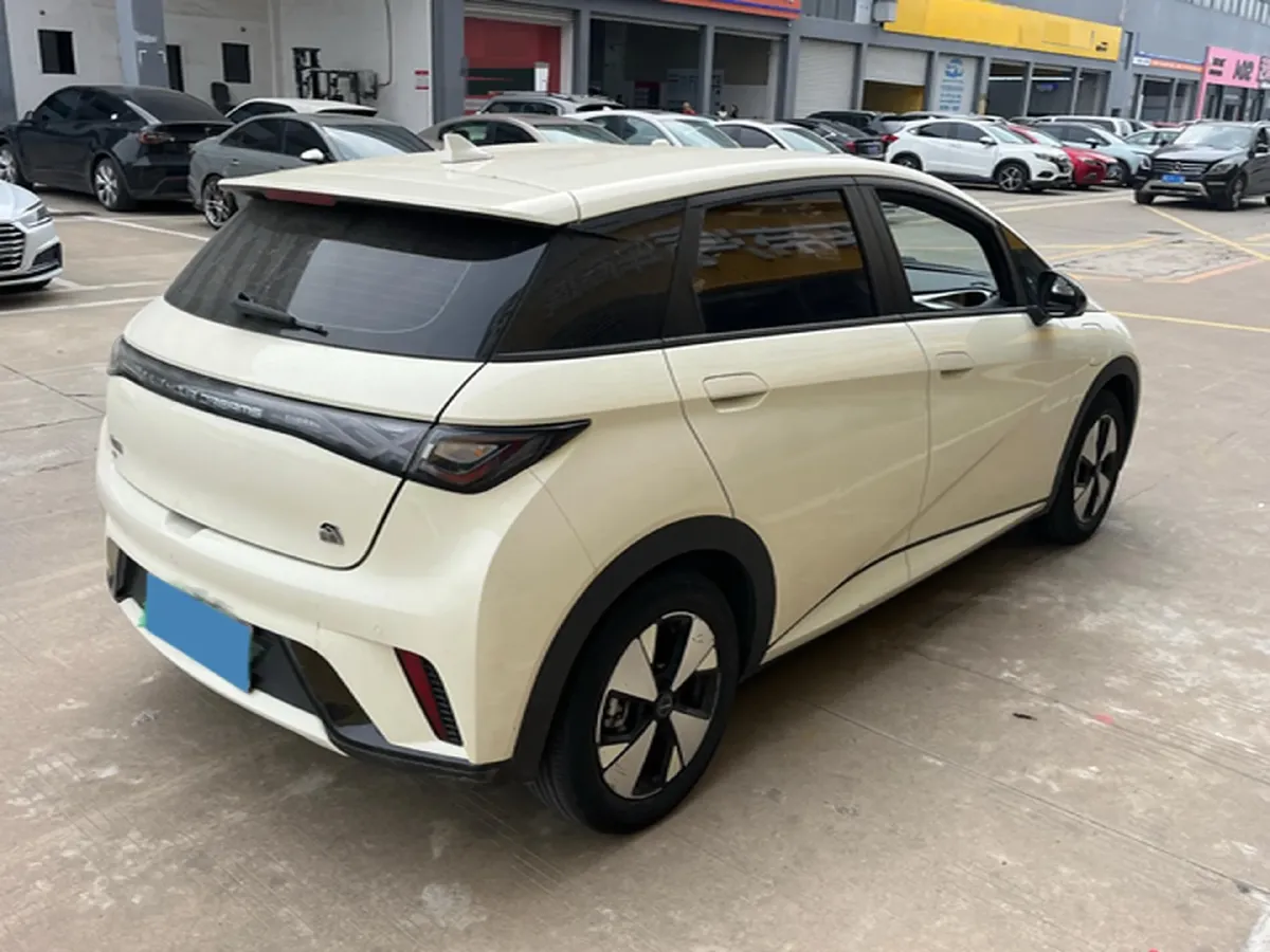 2023 BYD Dolphin BEV 44.928KWH,autocango,china used car exporter,china ev exporter,chinese used car exporter,chinese used ev exporter