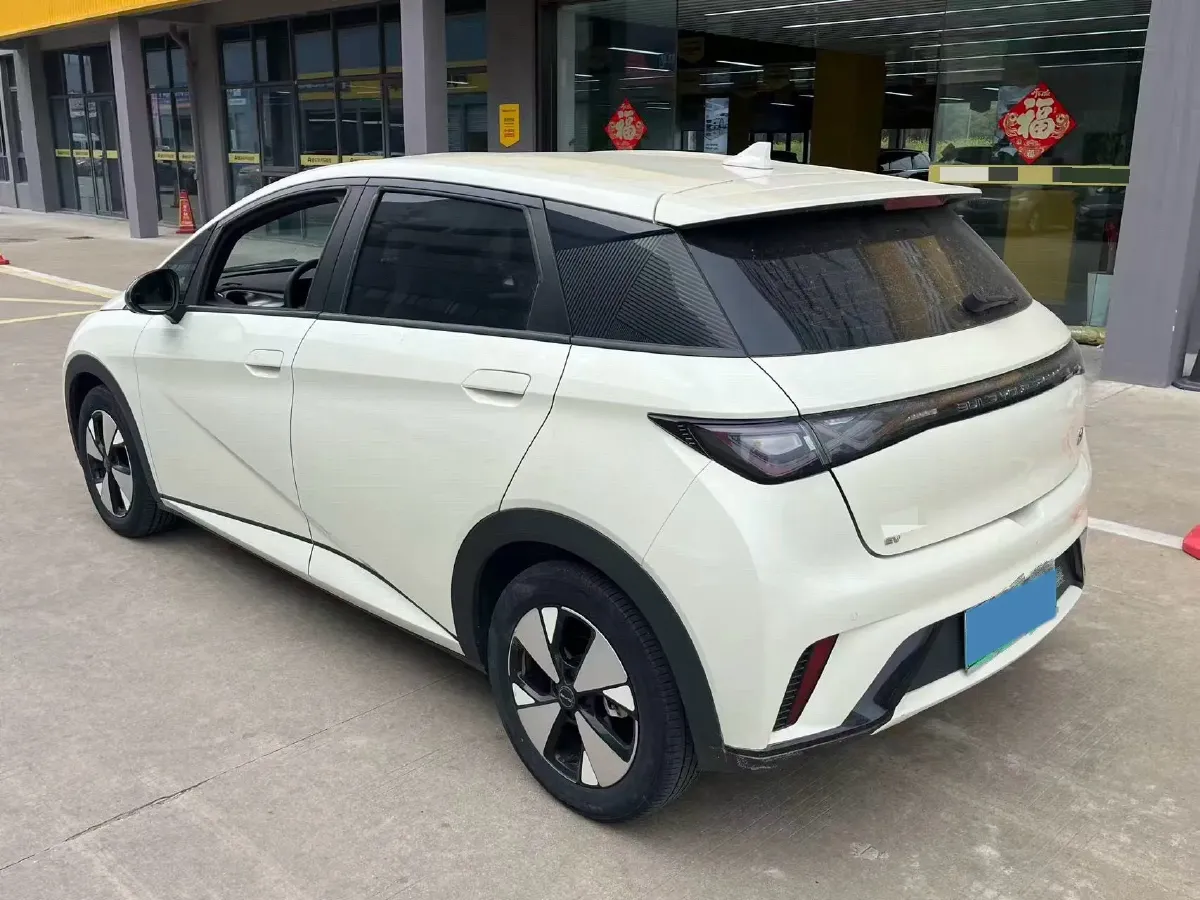 2023 BYD Dolphin BEV 44.928KWH,autocango,china used car exporter,china ev exporter,chinese used car exporter,chinese used ev exporter