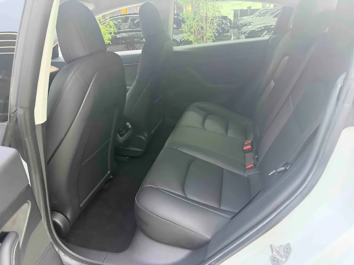 2020 Tesla Model 3 BEV 55KWH,autocango,china used car exporter,china ev exporter,chinese used car exporter,chinese used ev exporter