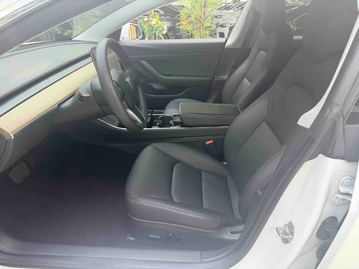 2020 Tesla Model 3 BEV 55KWH,autocango,china used car exporter,china ev exporter,chinese used car exporter,chinese used ev exporter