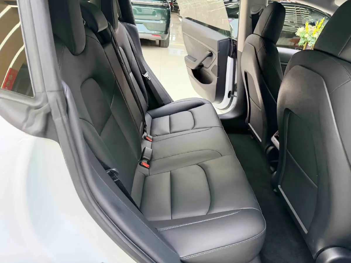 2020 Tesla Model 3 BEV 55KWH,autocango,china used car exporter,china ev exporter,chinese used car exporter,chinese used ev exporter