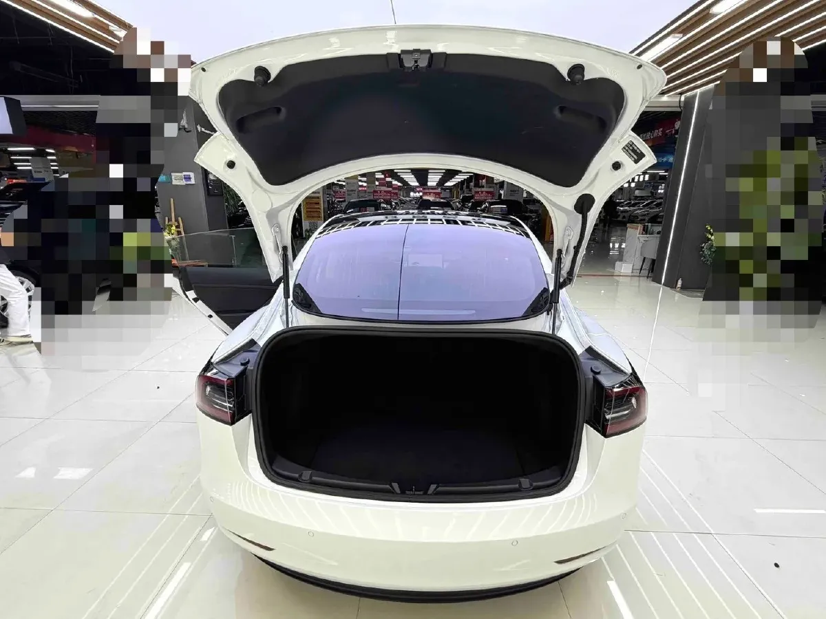 2020 Tesla Model 3 BEV 55KWH,autocango,china used car exporter,china ev exporter,chinese used car exporter,chinese used ev exporter